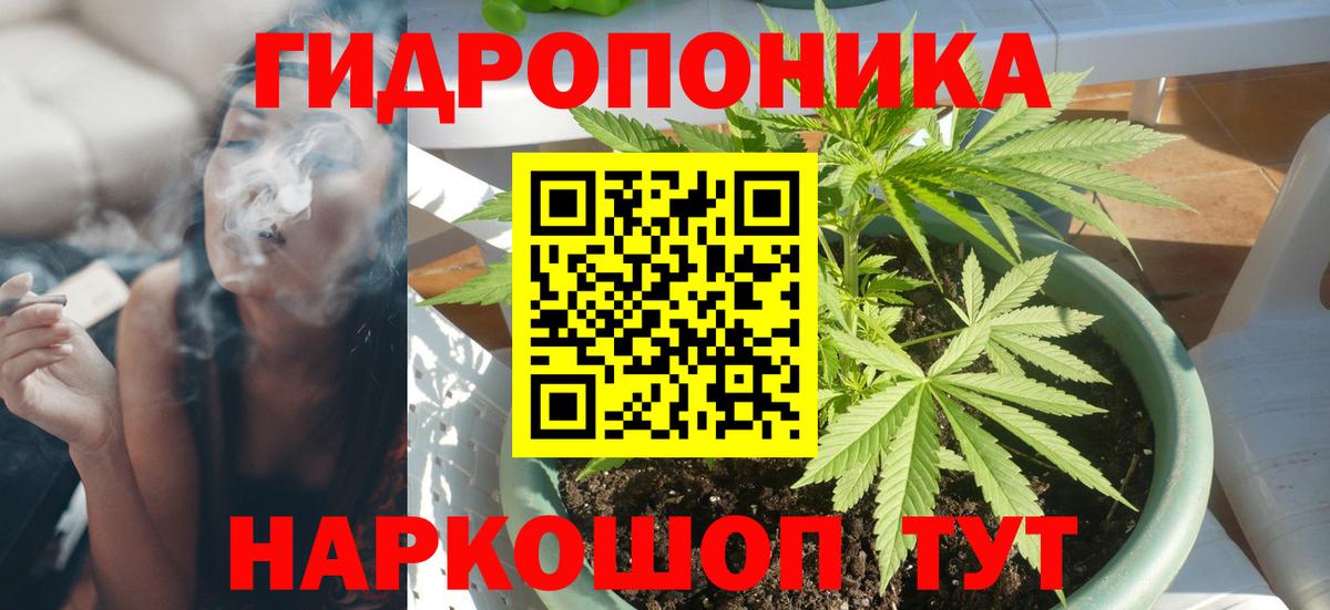 Каннабис VHQ  Шишки марихуана ГИДРОПОН  Каннабис VHQ  Марихуана OG Kush  Нововоронеж  Вход с VPN 